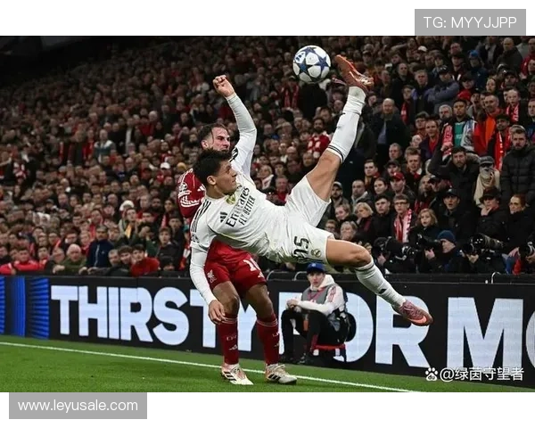 居莱尔战术角色与实际贡献是否匹配